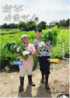 午夜访谈室 脱口秀 封面